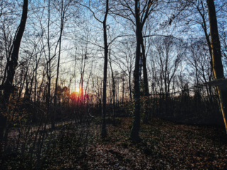 Drachenlichter im Br&uuml;ckenkopfpark J&uuml;lich