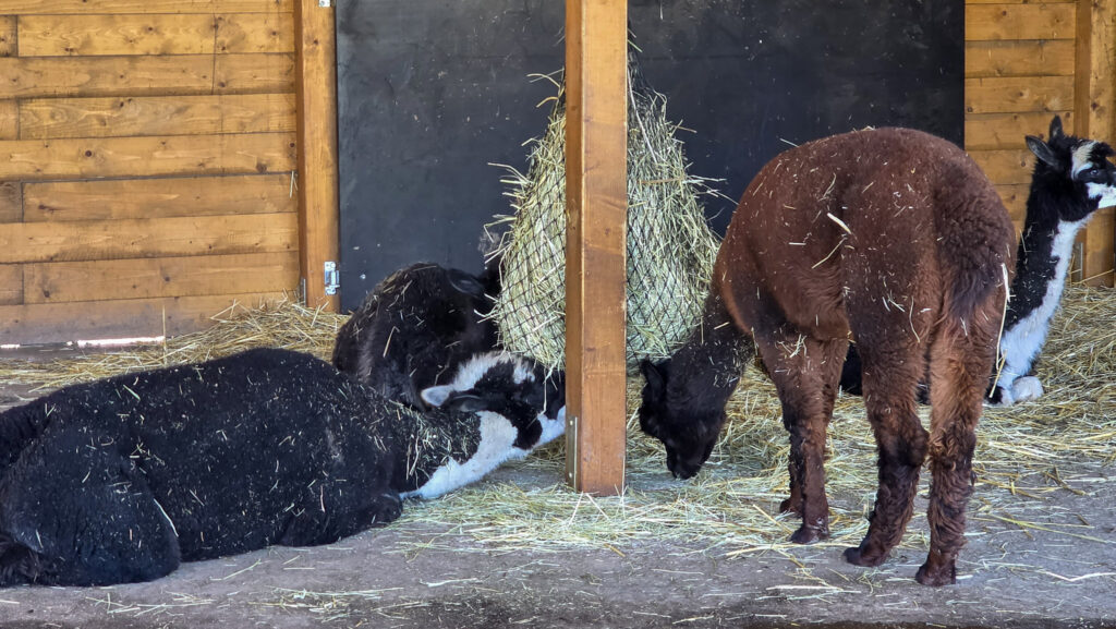 Br&uuml;ckenkopfpark J&uuml;lich