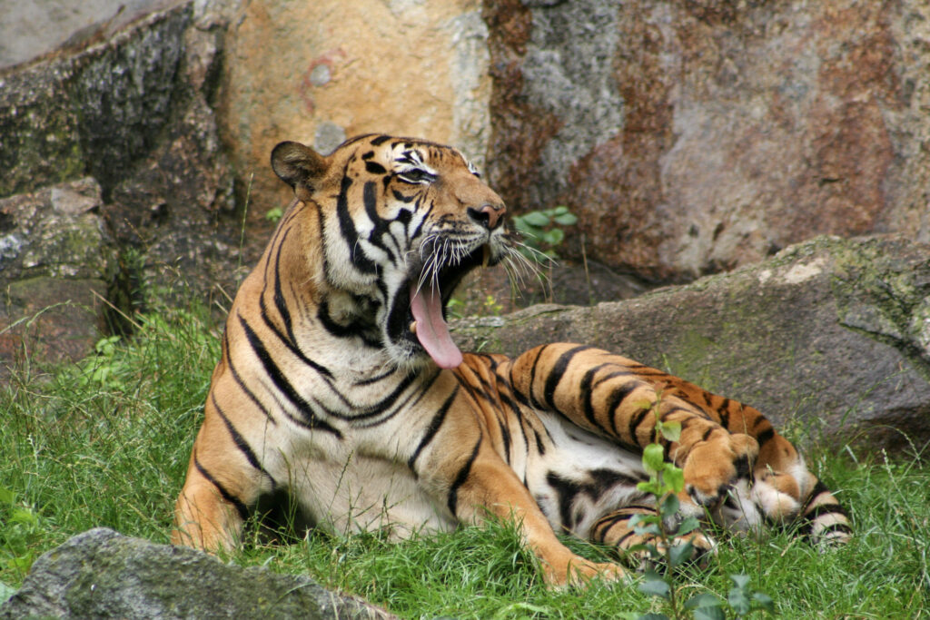 Berliner Zoo