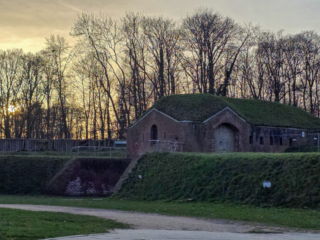 Drachenlichter im Br&uuml;ckenkopfpark J&uuml;lich