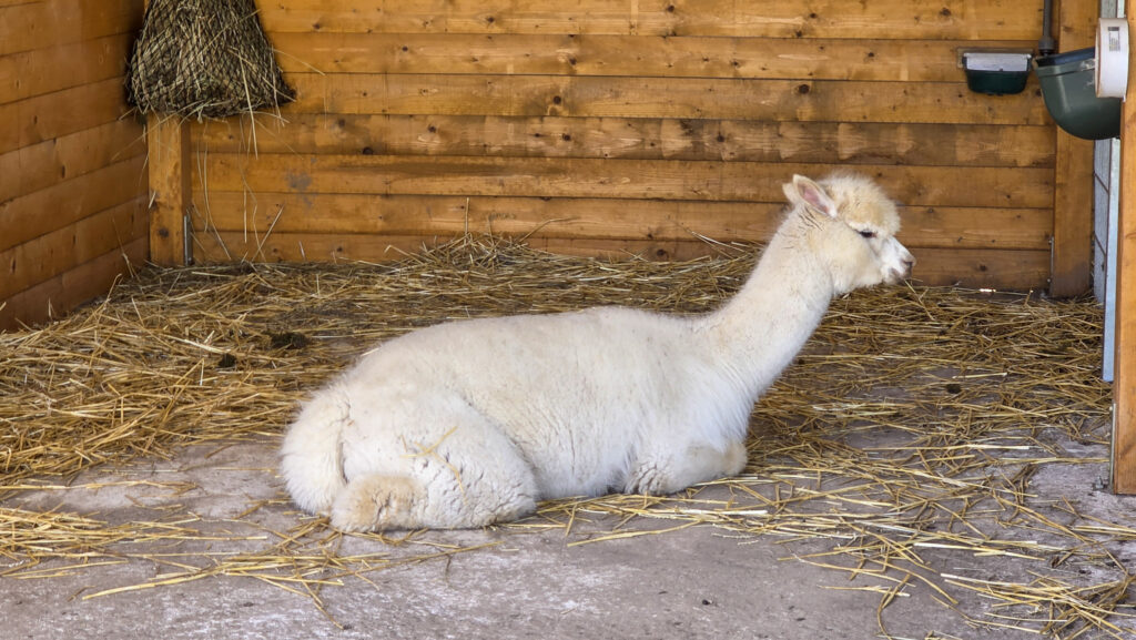 Br&uuml;ckenkopfpark J&uuml;lich