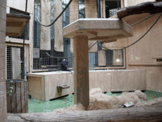 Alwetterzoo Münster Alwetterzoo Münster