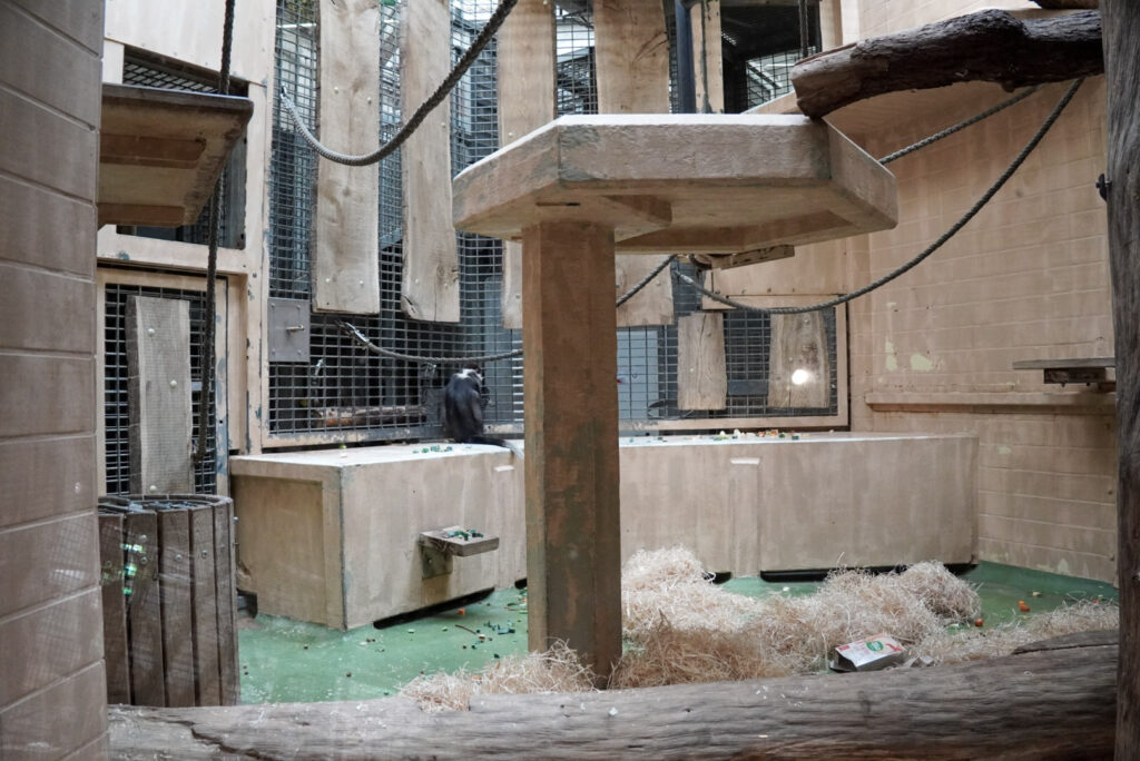 Alwetterzoo Münster Alwetterzoo Münster