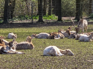 Br&uuml;ckenkopfpark J&uuml;lich