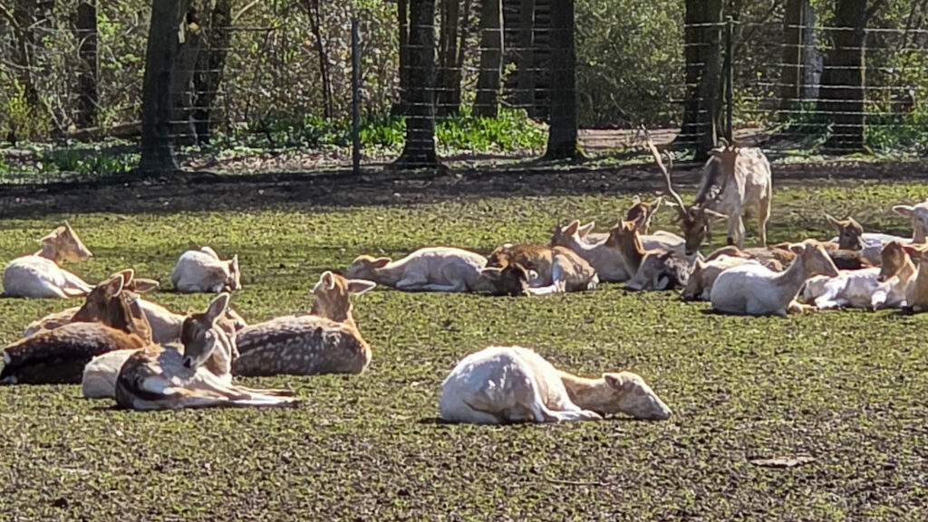 Br&uuml;ckenkopfpark J&uuml;lich