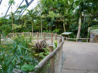 Alwetterzoo Münster Alwetterzoo Münster