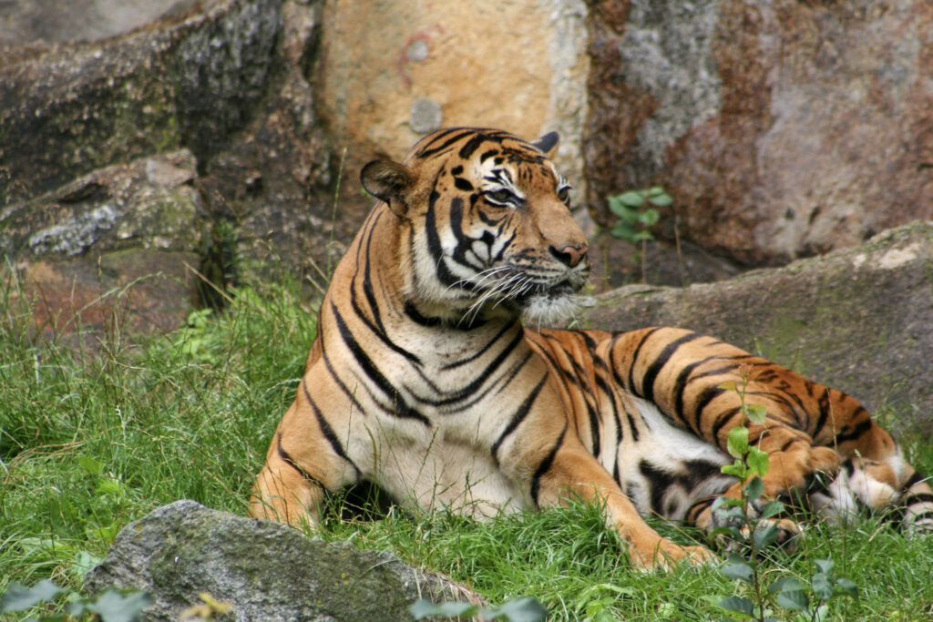 Berliner Zoo