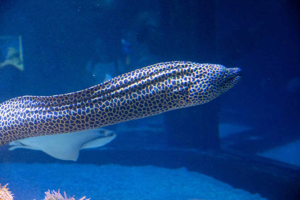 Aquazoo L&ouml;bbecke Museum D&uuml;sseldorf