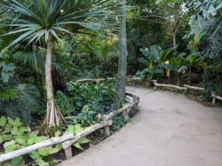 Alwetterzoo Münster Alwetterzoo Münster