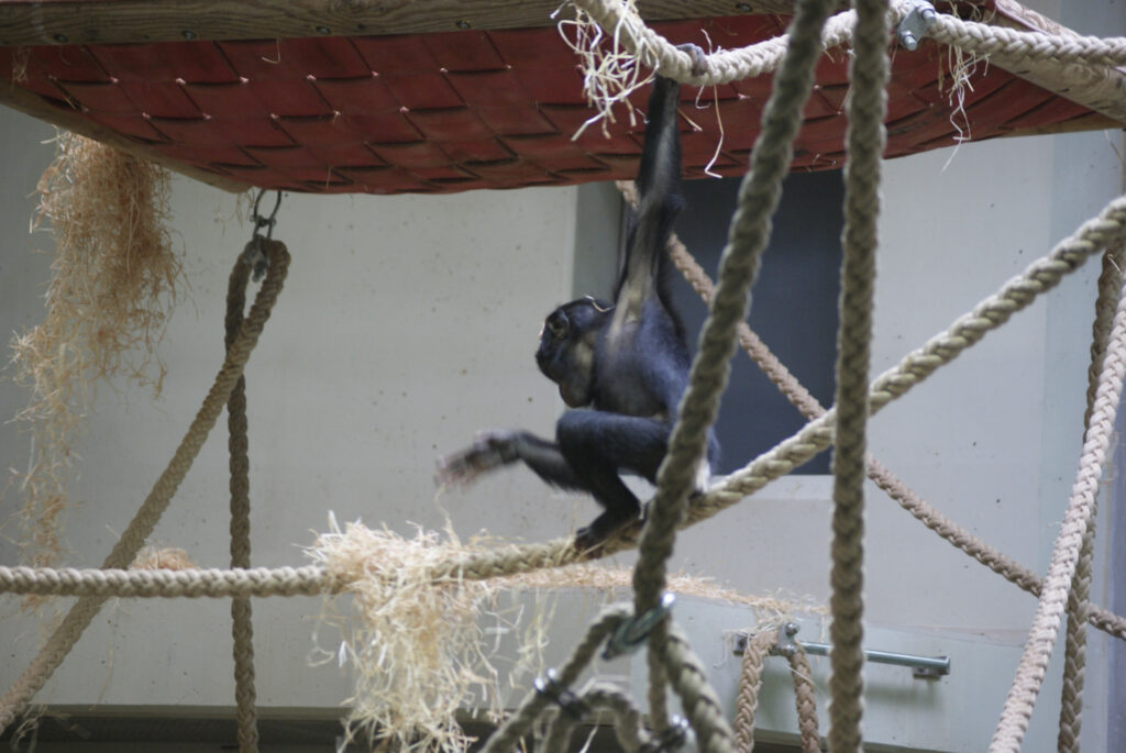 Berliner Zoo