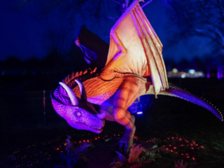 Drachenlichter im Br&uuml;ckenkopfpark J&uuml;lich