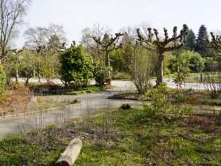 Grugapark Essen