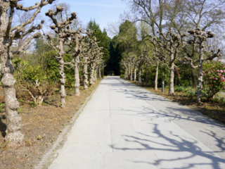 Grugapark Essen