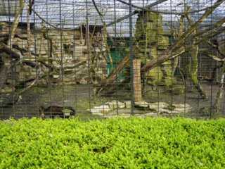 Alwetterzoo Münster Alwetterzoo Münster