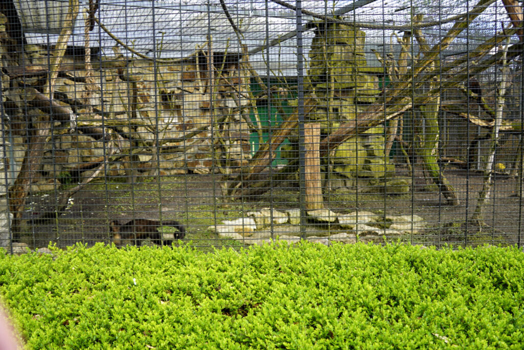 Alwetterzoo Münster Alwetterzoo Münster