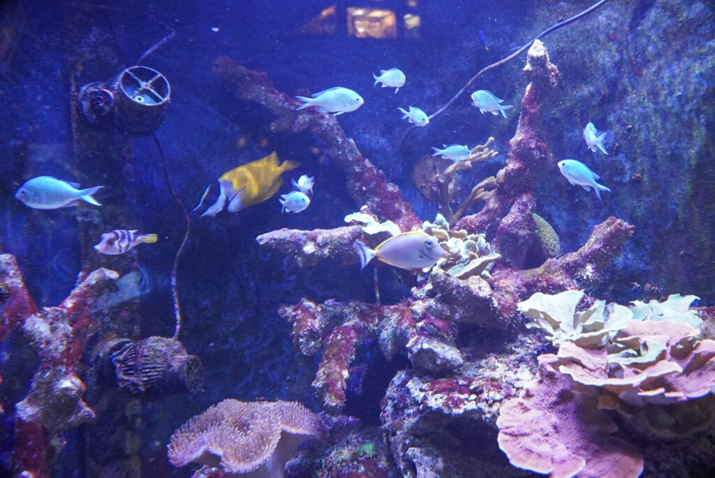 Alwetterzoo Münster Alwetterzoo Münster
