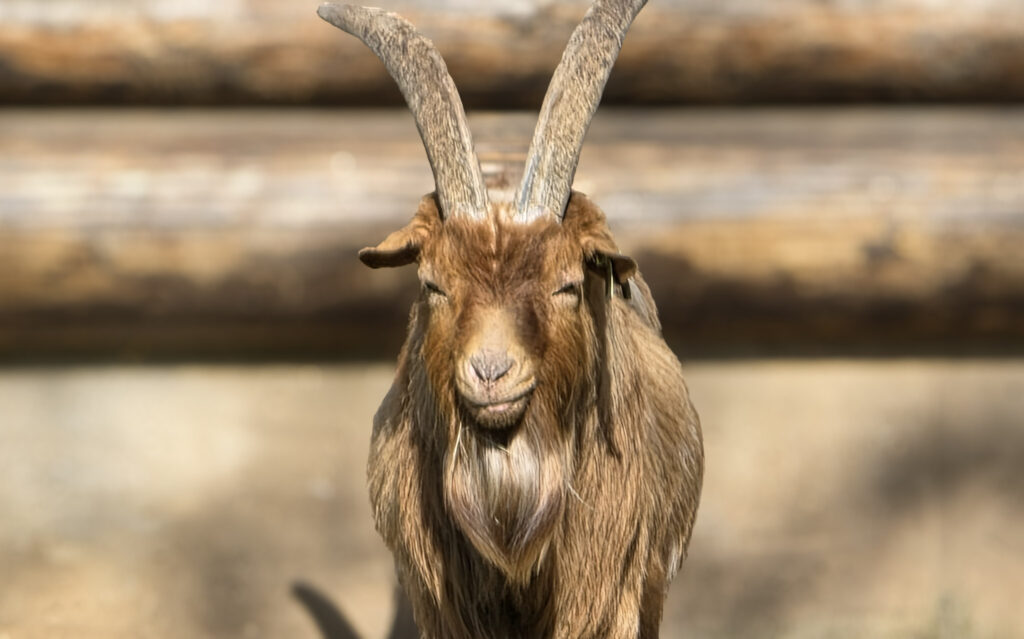 Br&uuml;ckenkopfpark J&uuml;lich