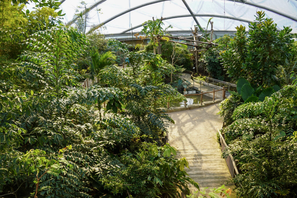 Alwetterzoo Münster Alwetterzoo Münster