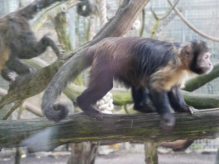 Alwetterzoo Münster Alwetterzoo Münster