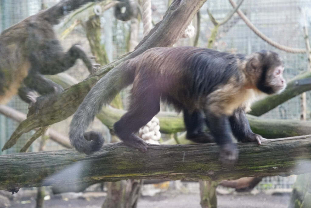 Alwetterzoo Münster Alwetterzoo Münster