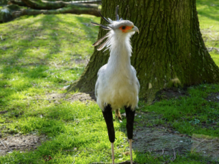 Alwetterzoo Münster Alwetterzoo Münster