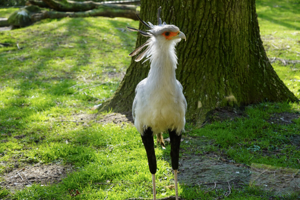 Alwetterzoo Münster Alwetterzoo Münster