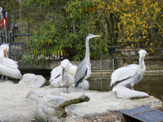 Alwetterzoo Münster Alwetterzoo Münster