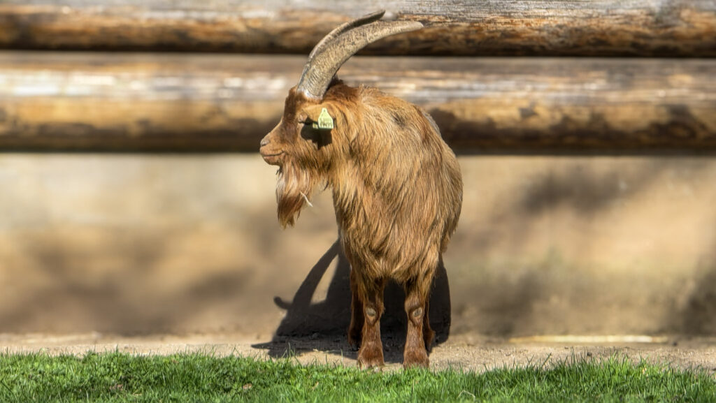 Br&uuml;ckenkopfpark J&uuml;lich