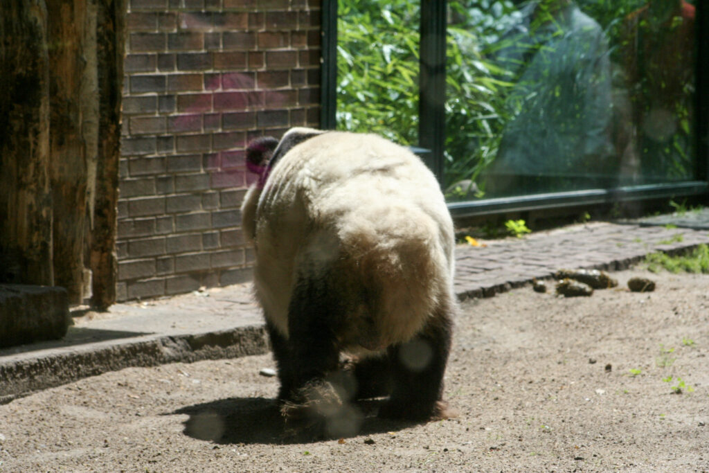 Berliner Zoo