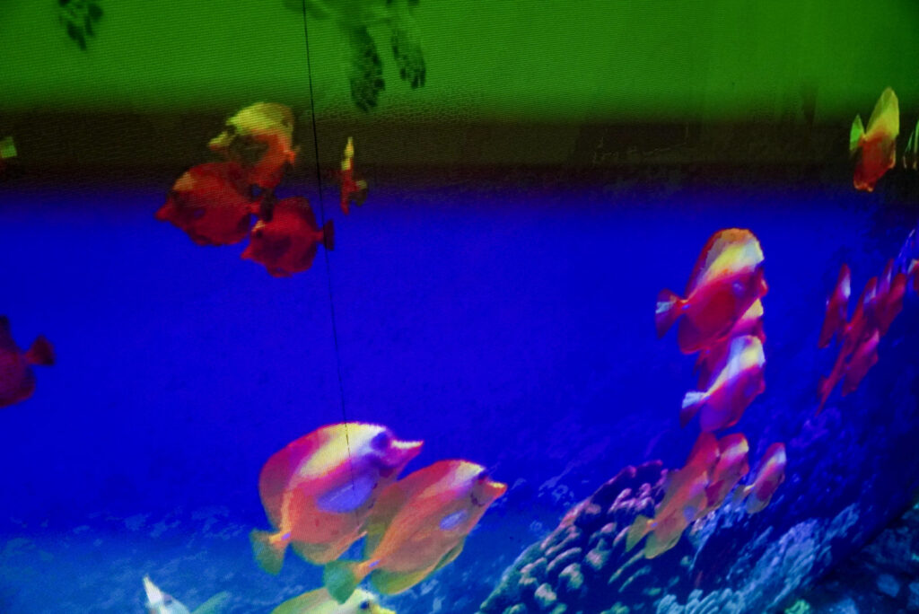 DASA Arbeitswelt Ausstellung