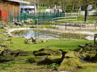 Grugapark Essen