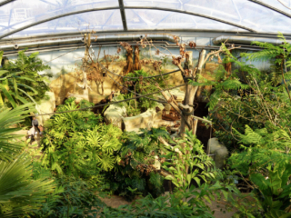 Alwetterzoo Münster Alwetterzoo Münster