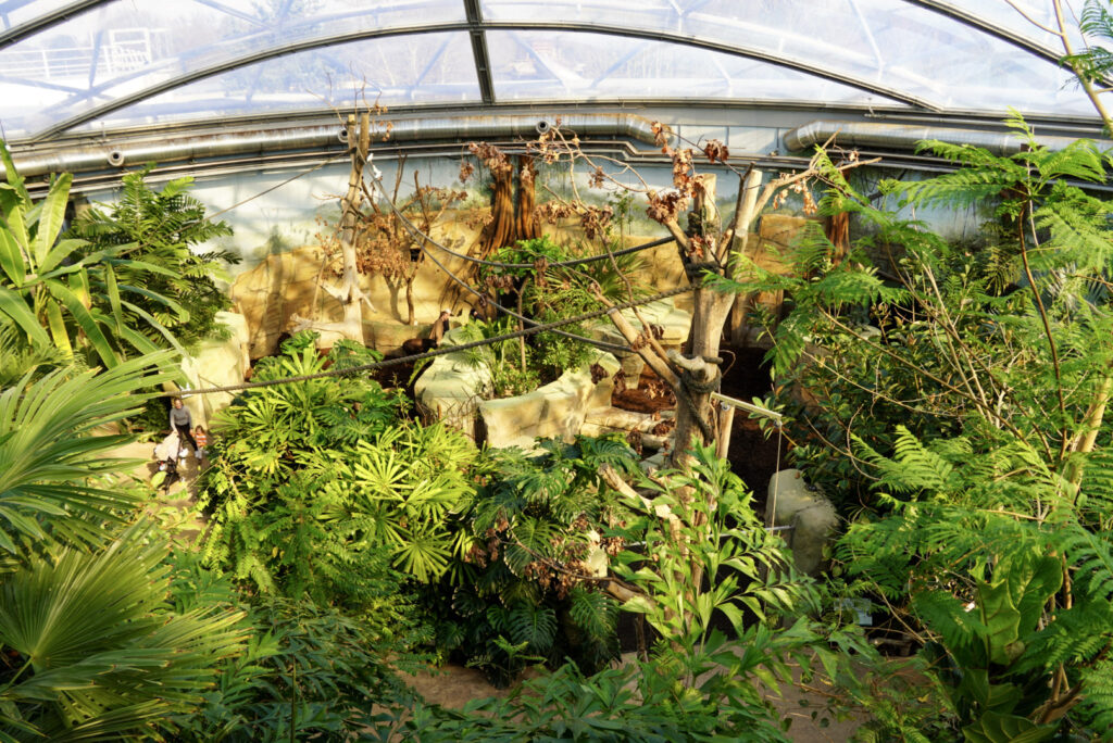 Alwetterzoo Münster Alwetterzoo Münster