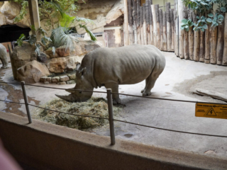 Alwetterzoo Münster Alwetterzoo Münster