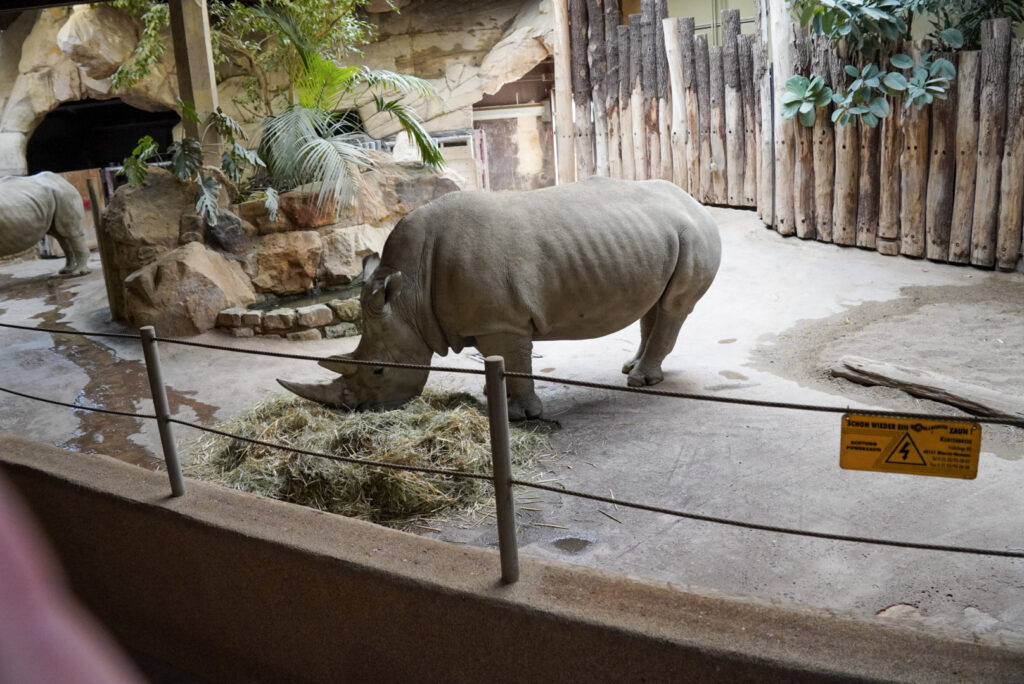 Alwetterzoo Münster Alwetterzoo Münster