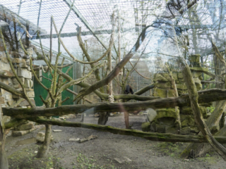 Alwetterzoo Münster Alwetterzoo Münster