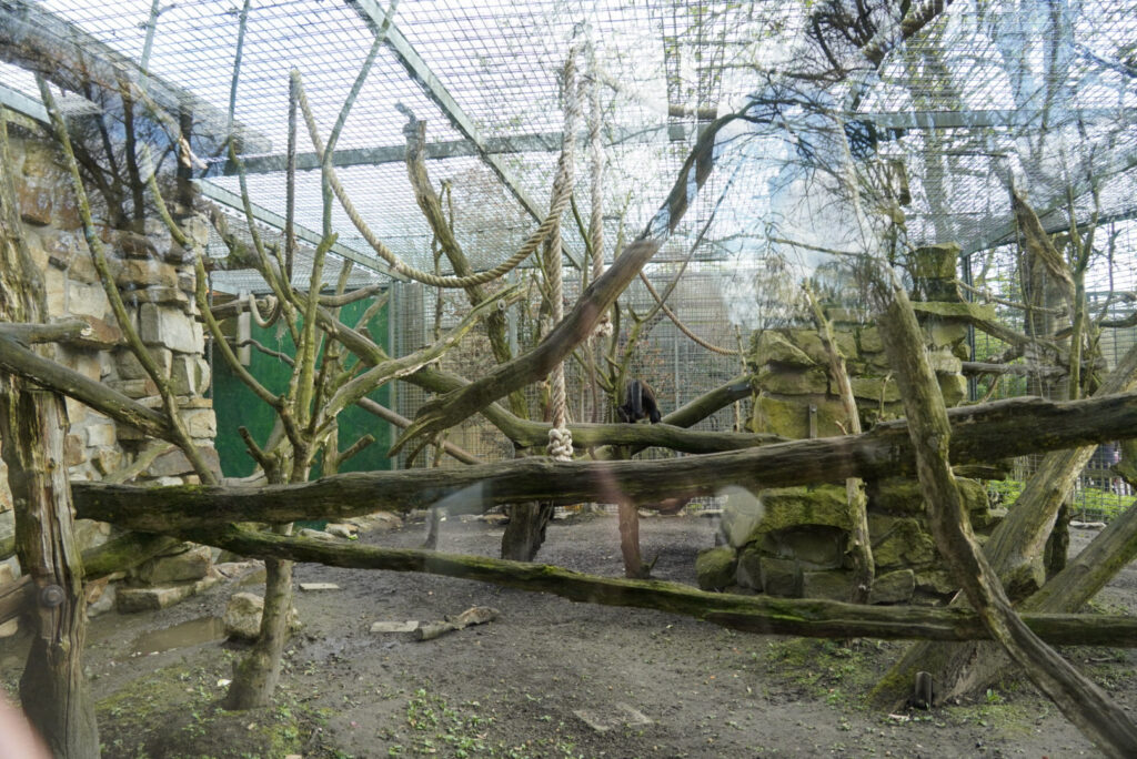 Alwetterzoo Münster Alwetterzoo Münster