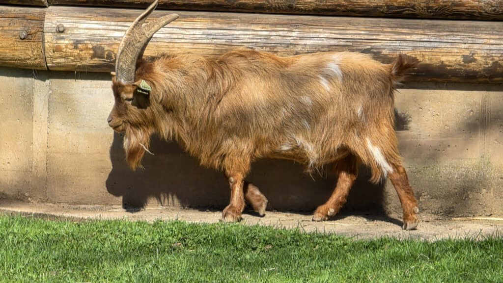 Br&uuml;ckenkopfpark J&uuml;lich