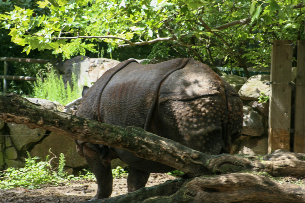 Berliner Zoo