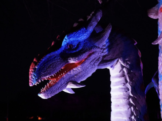 Drachenlichter im Br&uuml;ckenkopfpark J&uuml;lich