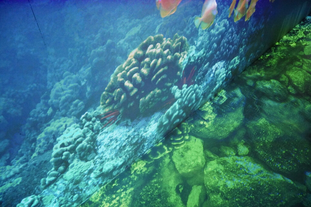 DASA Arbeitswelt Ausstellung