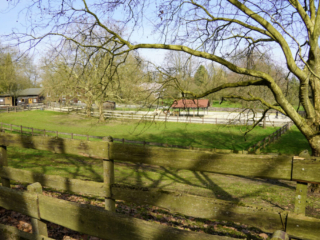 Grugapark Essen
