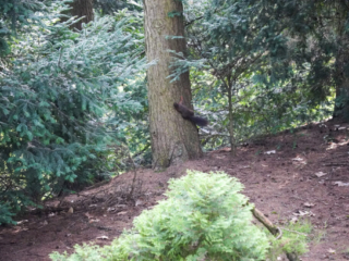 Grugapark Essen