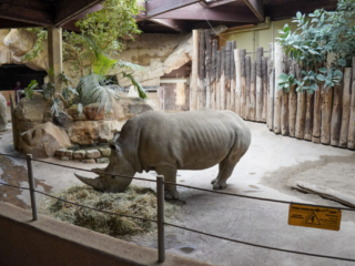 Alwetterzoo Münster Alwetterzoo Münster