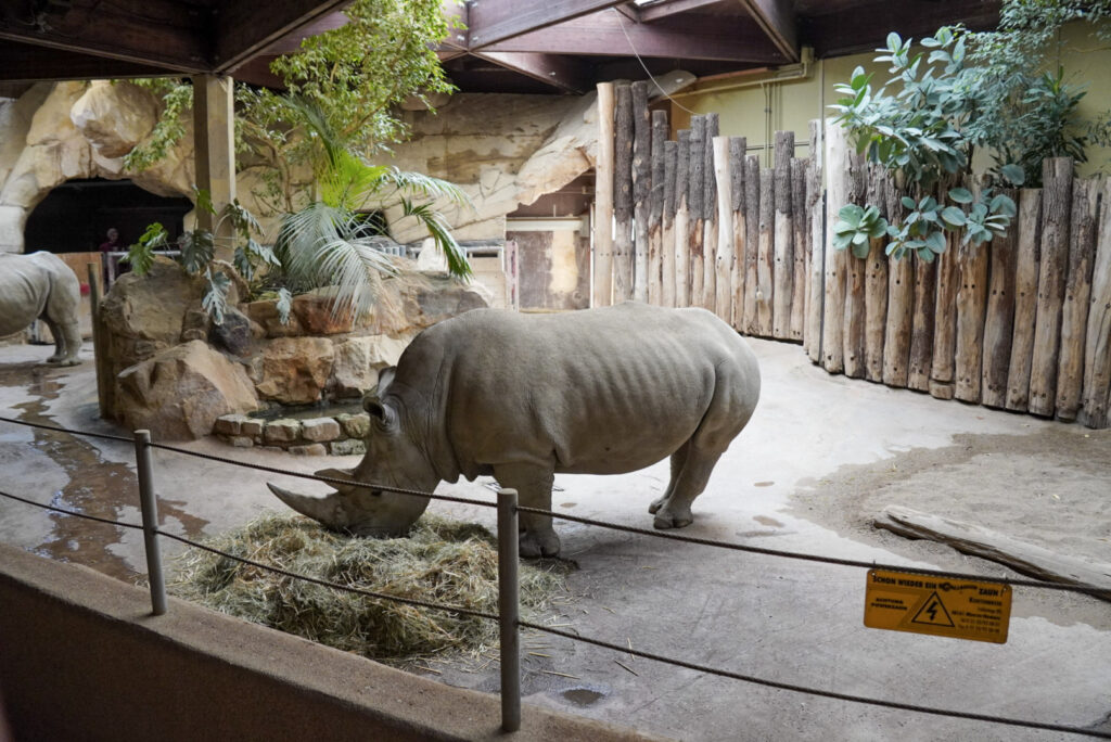 Alwetterzoo Münster Alwetterzoo Münster