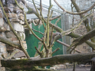 Alwetterzoo Münster Alwetterzoo Münster