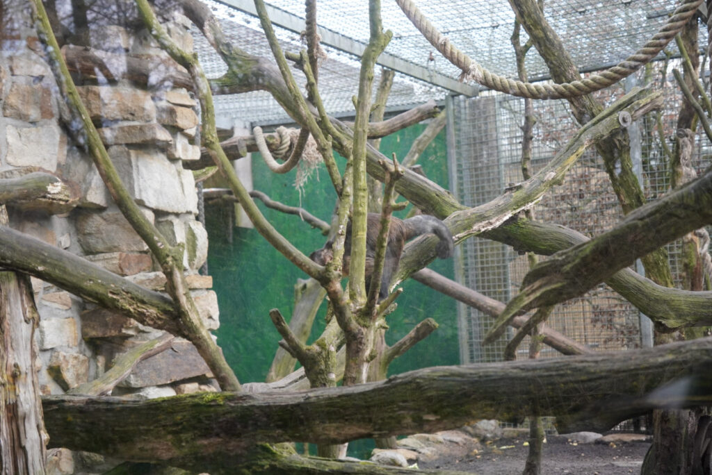 Alwetterzoo Münster Alwetterzoo Münster