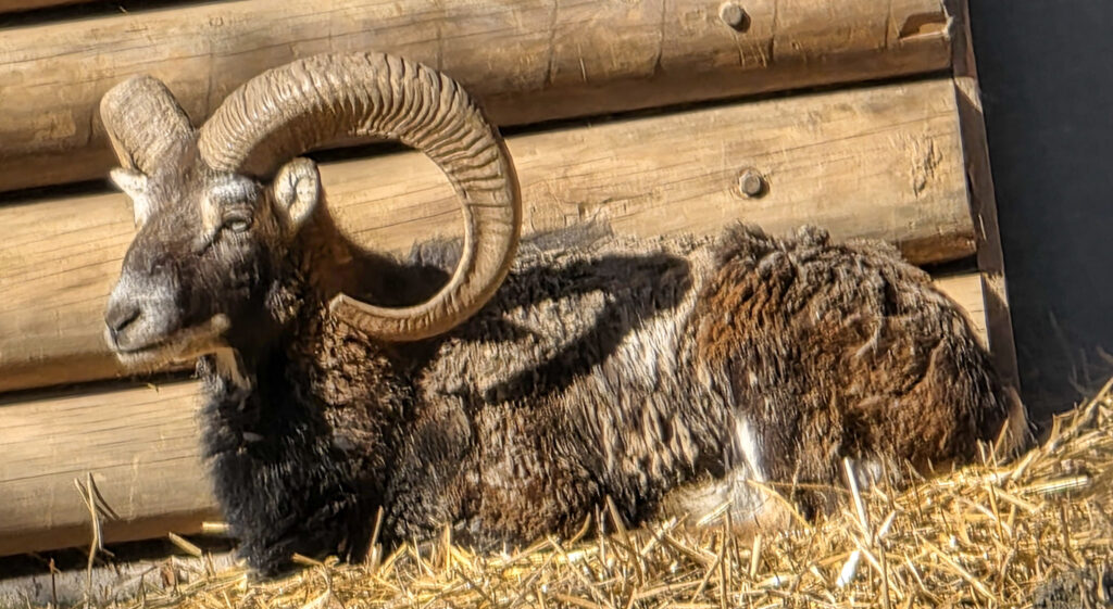 Br&uuml;ckenkopfpark J&uuml;lich