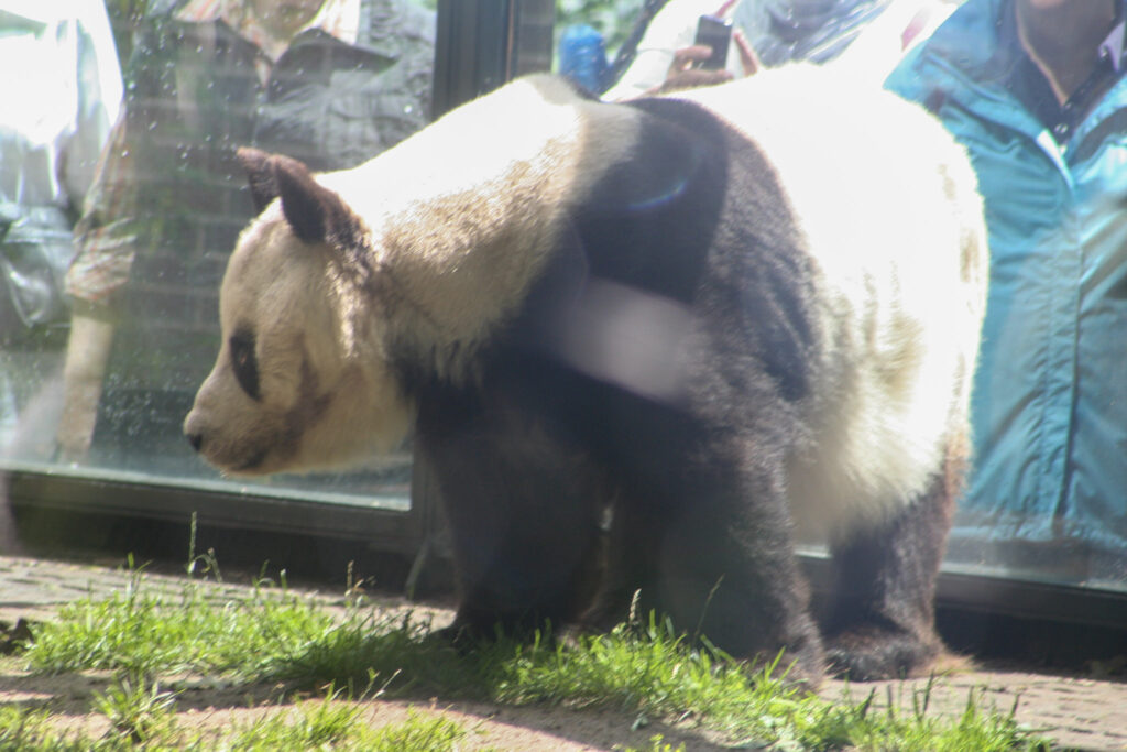 Berliner Zoo