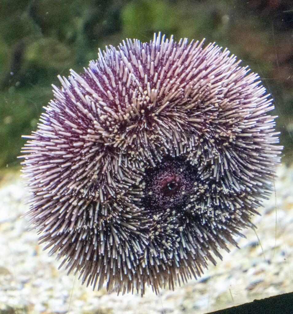 Aquazoo L&ouml;bbecke Museum D&uuml;sseldorf
